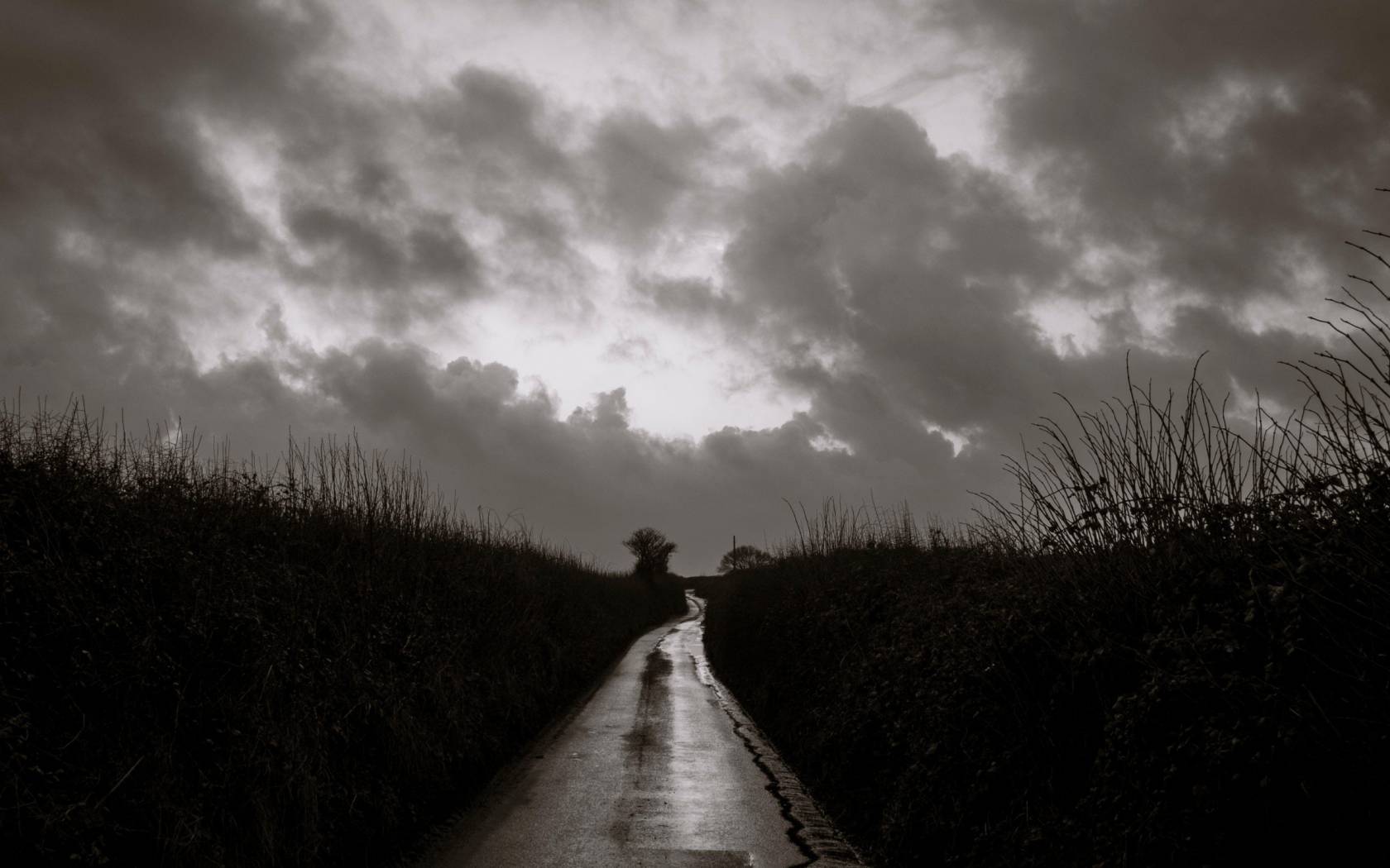 Decolonising Britain's countryside - Engelsberg ideas