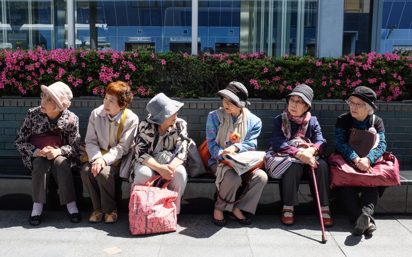 Japan: the world’s demographic canary