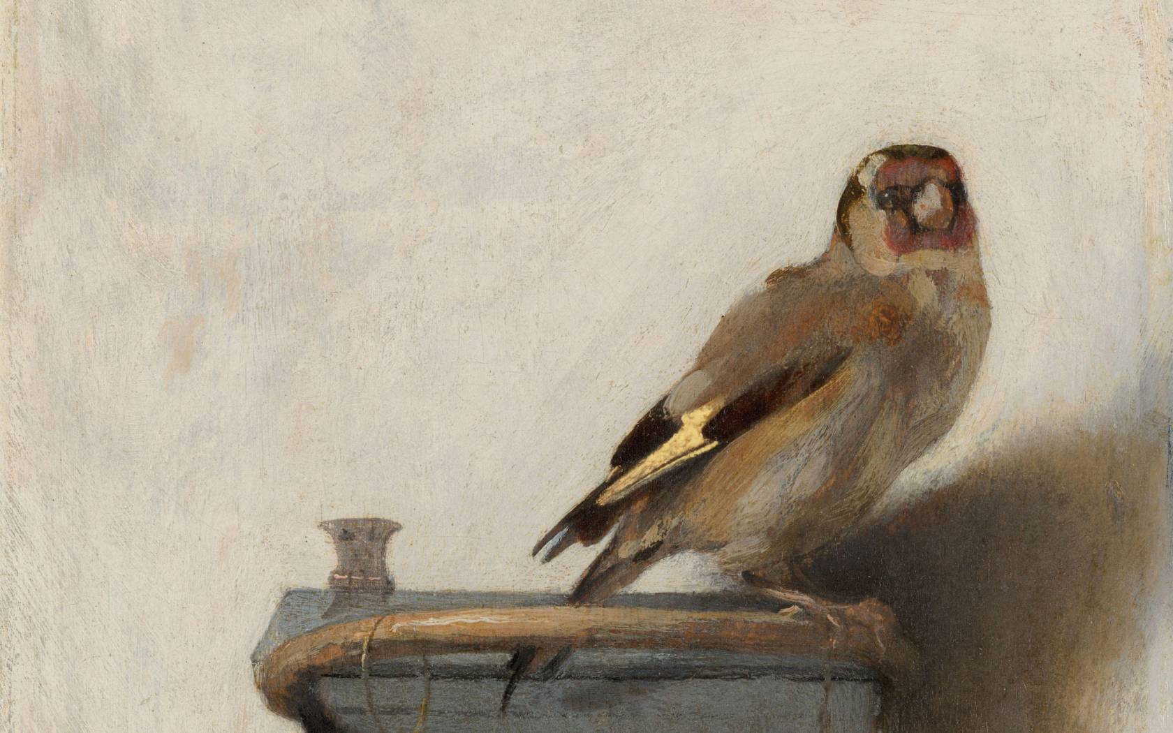 The art of birds